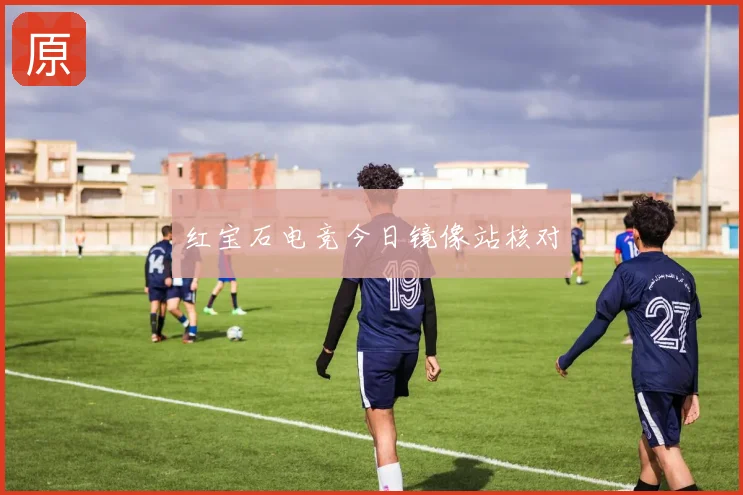 红宝石电竞今日镜像站核对